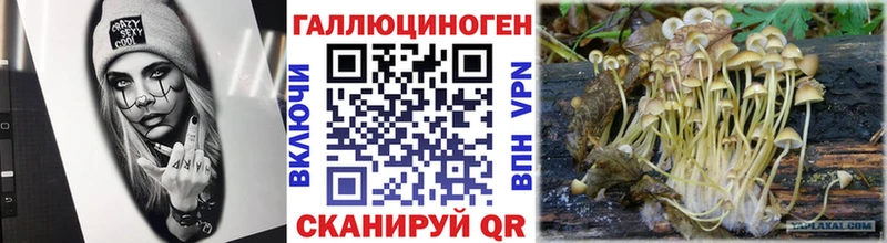 MEGA ONION Плёс Галлюциногенные грибы GOLDEN TEACHER закладка